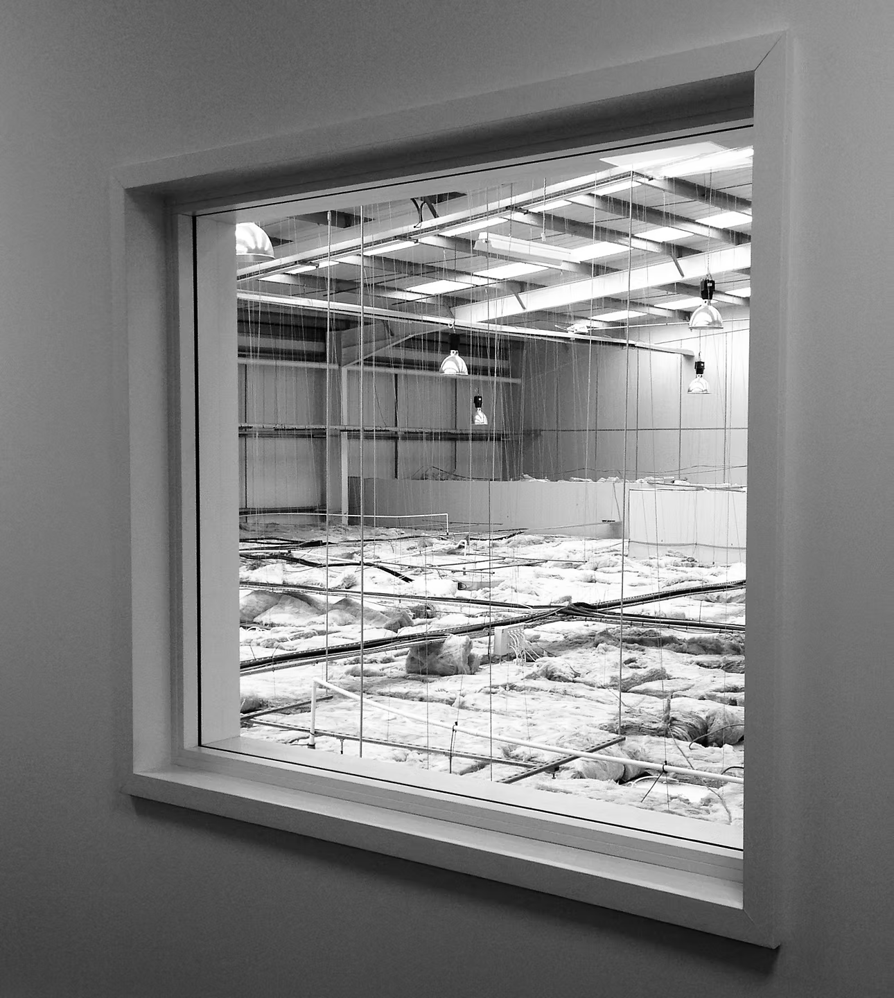 Temporary Workspaces